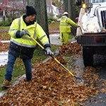LeafRakingMenED