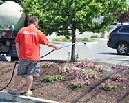 AdamWatering