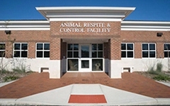 StratfordAnimalControlGALLERY